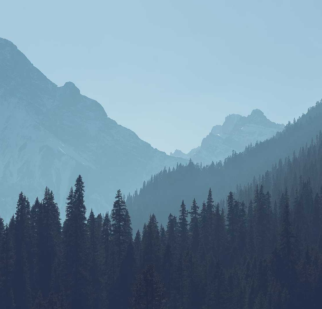 TessBeautyHealthCare